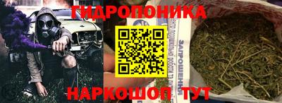 ешки Абакан