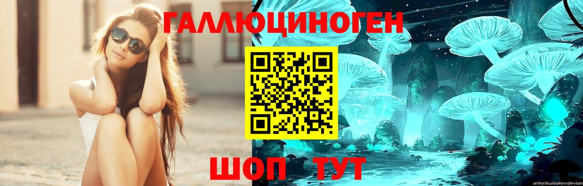 Галлюциногенные грибы прущие грибы Александров